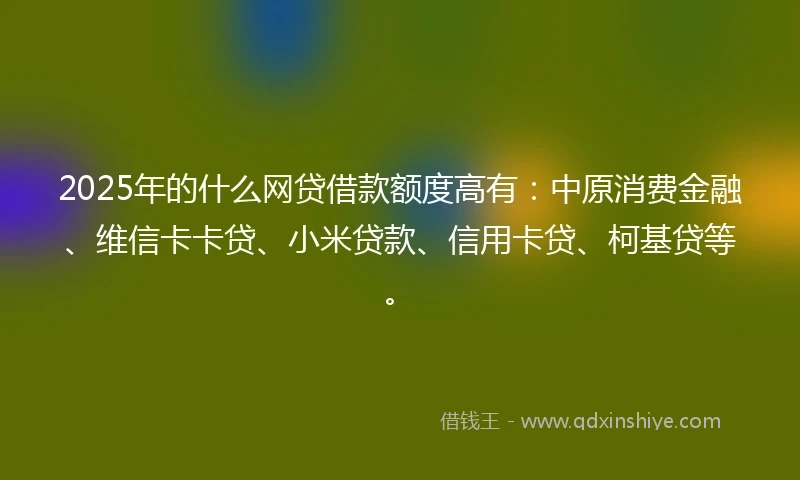 2025年的什么网贷借款额度高有：中原消费金融、维信卡卡贷、小米贷款、信用卡贷、柯基贷等。