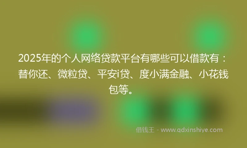 2025年的个人网络贷款平台有哪些可以借款有：替你还、微粒贷、平安i贷、度小满金融、小花钱包等。