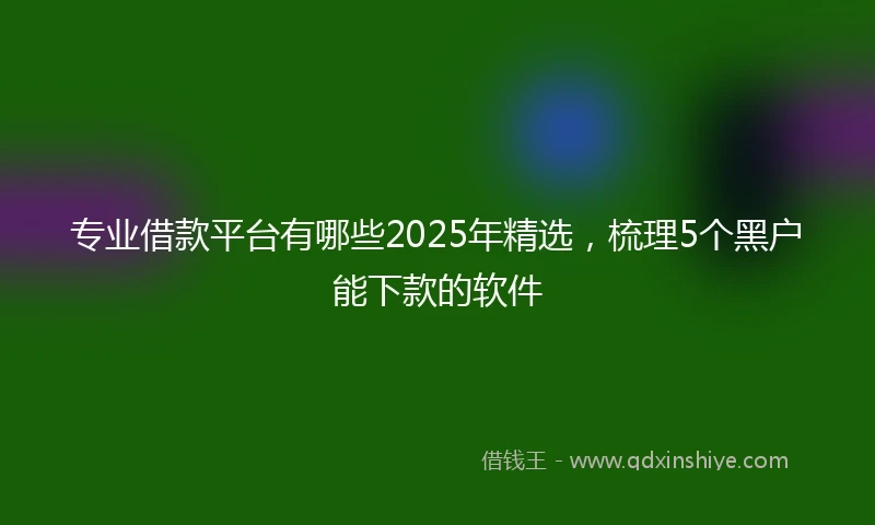 专业借款平台有哪些2025年精选，梳理5个黑户能下款的软件