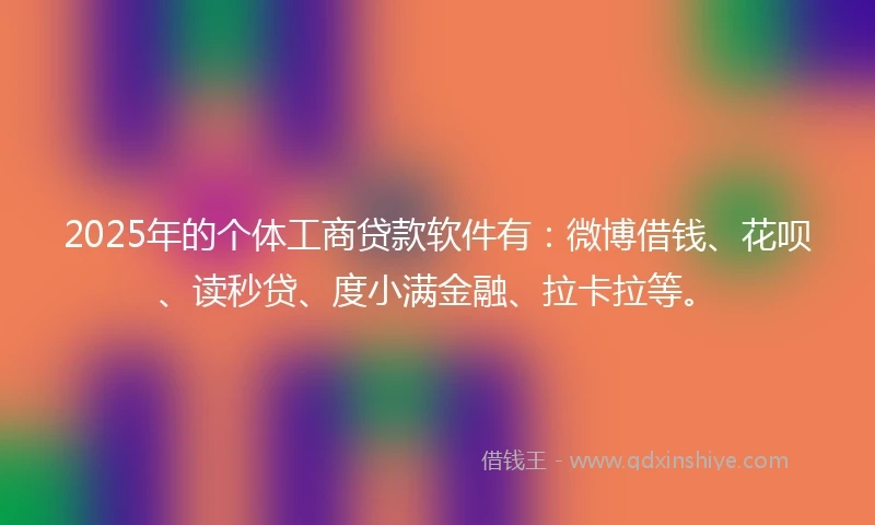 2025年的个体工商贷款软件有：微博借钱、花呗、读秒贷、度小满金融、拉卡拉等。
