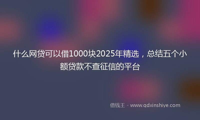 什么网贷可以借1000块2025年精选，总结五个小额贷款不查征信的平台