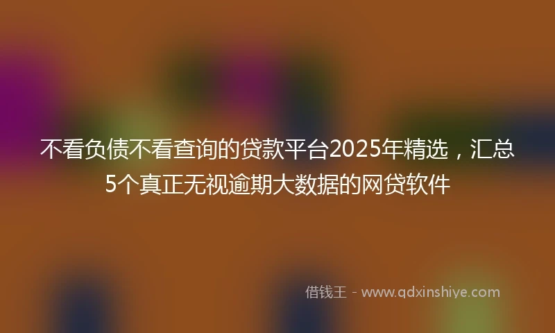 不看负债不看查询的贷款平台2025年精选，汇总5个真正无视逾期大数据的网贷软件