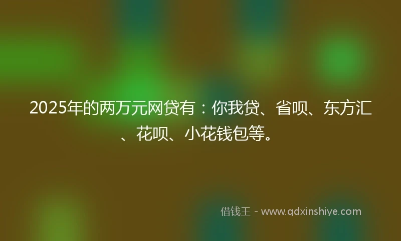 2025年的两万元网贷有：你我贷、省呗、东方汇、花呗、小花钱包等。
