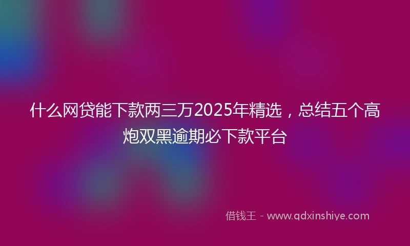什么网贷能下款两三万2025年精选，总结五个高炮双黑逾期必下款平台