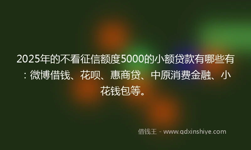 2025年的不看征信额度5000的小额贷款有哪些有：微博借钱、花呗、惠商贷、中原消费金融、小花钱包等。