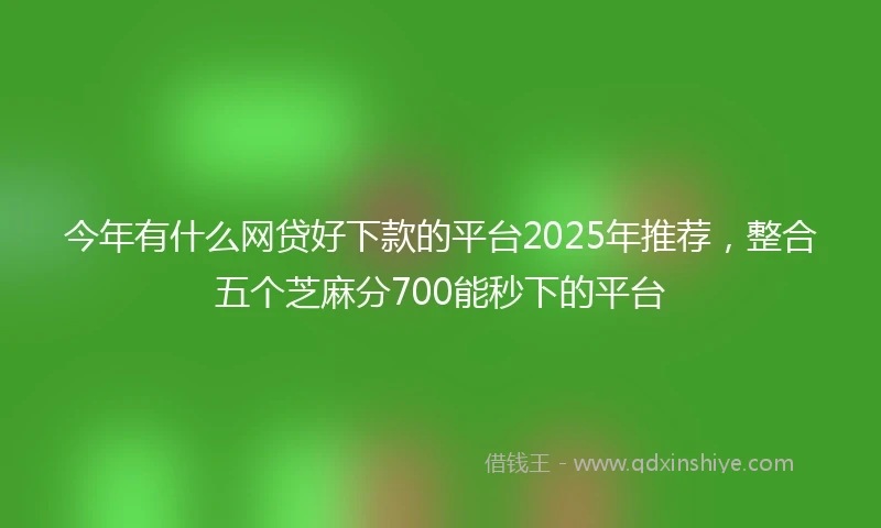 今年有什么网贷好下款的平台2025年推荐，整合五个芝麻分700能秒下的平台