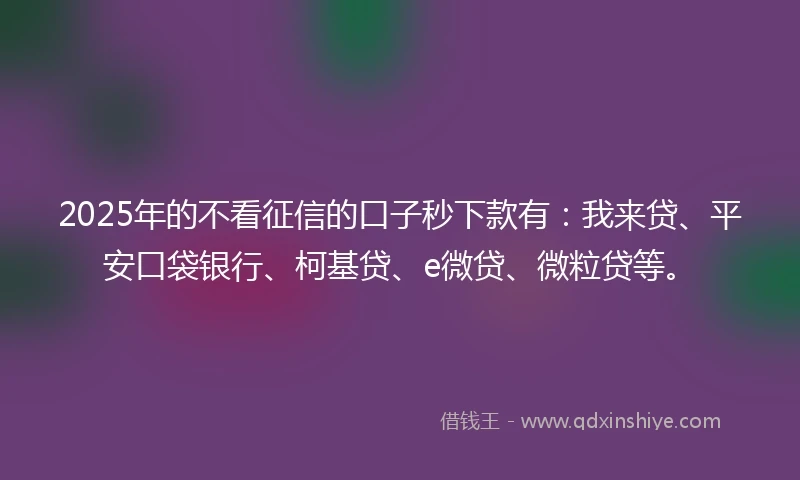 2025年的不看征信的口子秒下款有：我来贷、平安口袋银行、柯基贷、e微贷、微粒贷等。