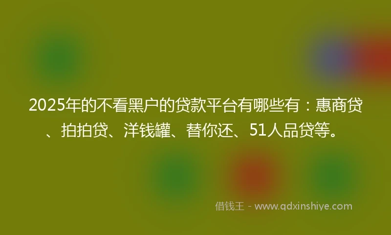 2025年的不看黑户的贷款平台有哪些有：惠商贷、拍拍贷、洋钱罐、替你还、51人品贷等。