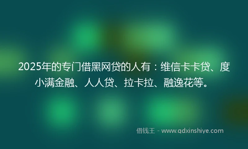 2025年的专门借黑网贷的人有：维信卡卡贷、度小满金融、人人贷、拉卡拉、融逸花等。