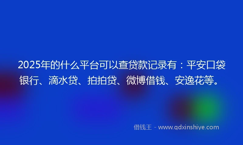 2025年的什么平台可以查贷款记录有：平安口袋银行、滴水贷、拍拍贷、微博借钱、安逸花等。