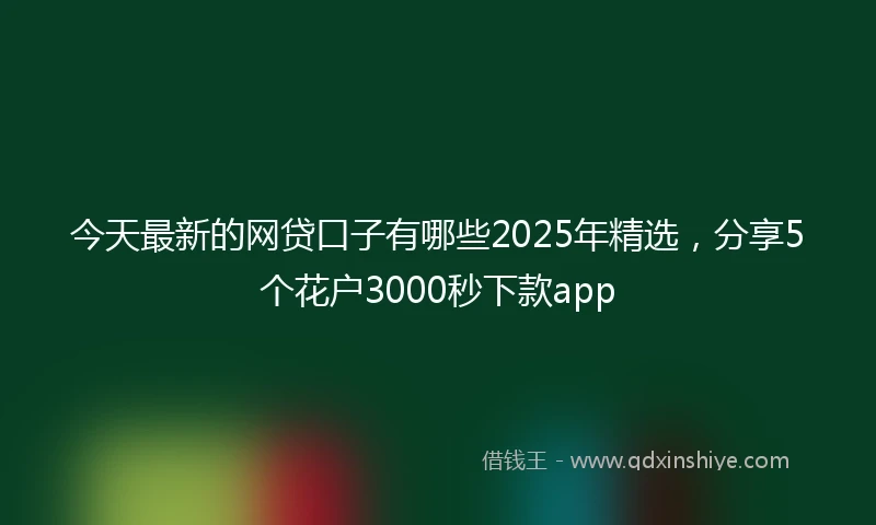 今天最新的网贷口子有哪些2025年精选，分享5个花户3000秒下款app
