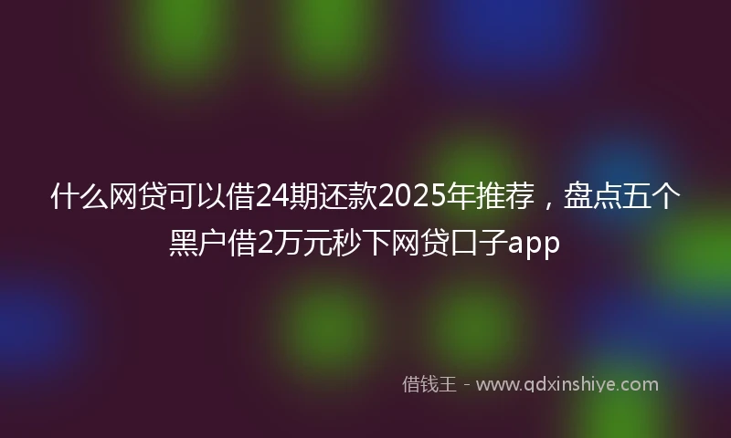 什么网贷可以借24期还款2025年推荐，盘点五个黑户借2万元秒下网贷口子app