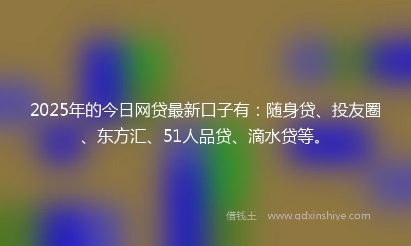 2025年的今日网贷最新口子有：随身贷、投友圈、东方汇、51人品贷、滴水贷等。