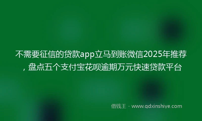 不需要征信的贷款app立马到账微信2025年推荐，盘点五个支付宝花呗逾期万元快速贷款平台