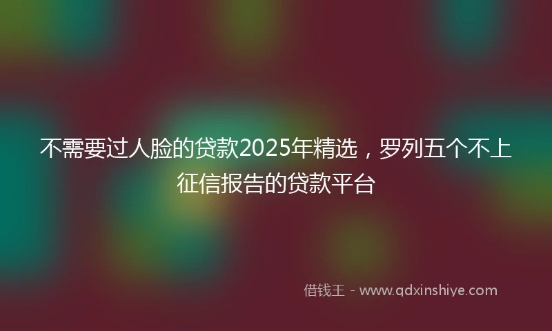 不需要过人脸的贷款2025年精选，罗列五个不上征信报告的贷款平台
