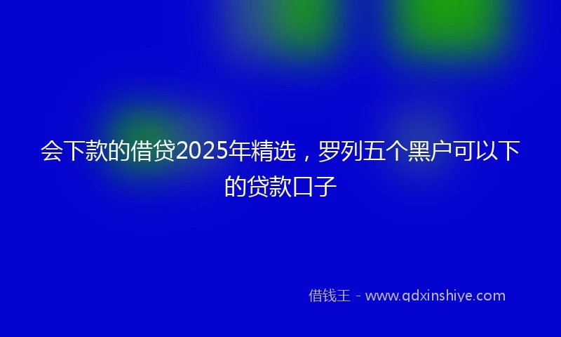 会下款的借贷2025年精选，罗列五个黑户可以下的贷款口子