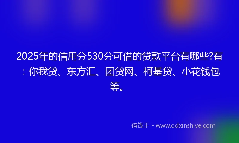 2025年的信用分530分可借的贷款平台有哪些?有：你我贷、东方汇、团贷网、柯基贷、小花钱包等。