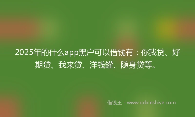 2025年的什么app黑户可以借钱有：你我贷、好期贷、我来贷、洋钱罐、随身贷等。