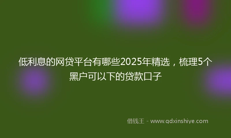低利息的网贷平台有哪些2025年精选，梳理5个黑户可以下的贷款口子
