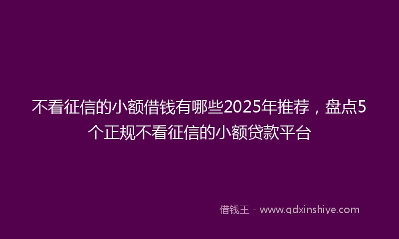 不看征信的小额借钱有哪些2025年推荐，盘点5个正规不看征信的小额贷款平台