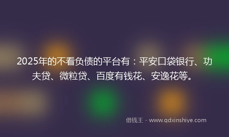 2025年的不看负债的平台有：平安口袋银行、功夫贷、微粒贷、百度有钱花、安逸花等。