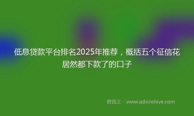 低息贷款平台排名2025年推荐，概括五个征信花居然都下款了的口子