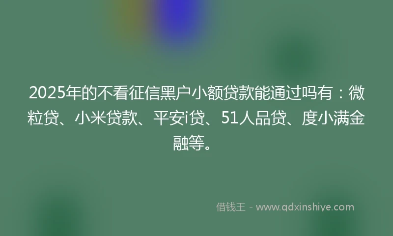 2025年的不看征信黑户小额贷款能通过吗有：微粒贷、小米贷款、平安i贷、51人品贷、度小满金融等。