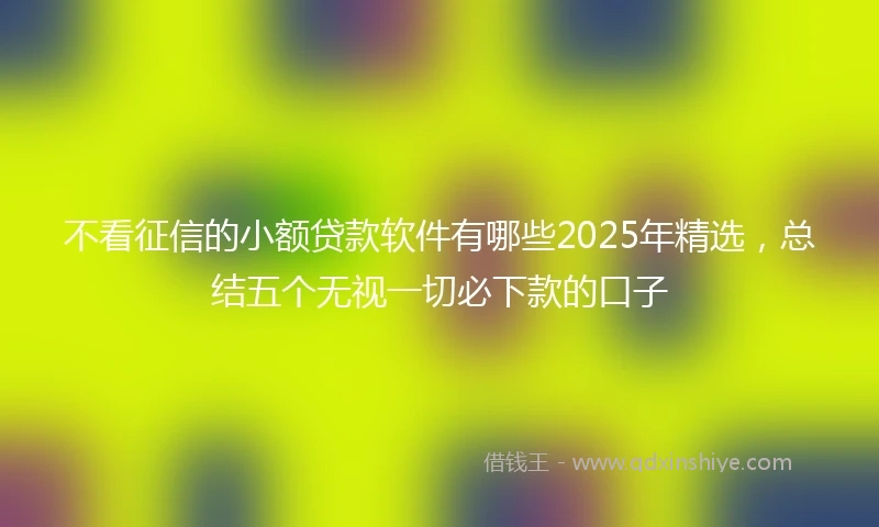 不看征信的小额贷款软件有哪些2025年精选，总结五个无视一切必下款的口子