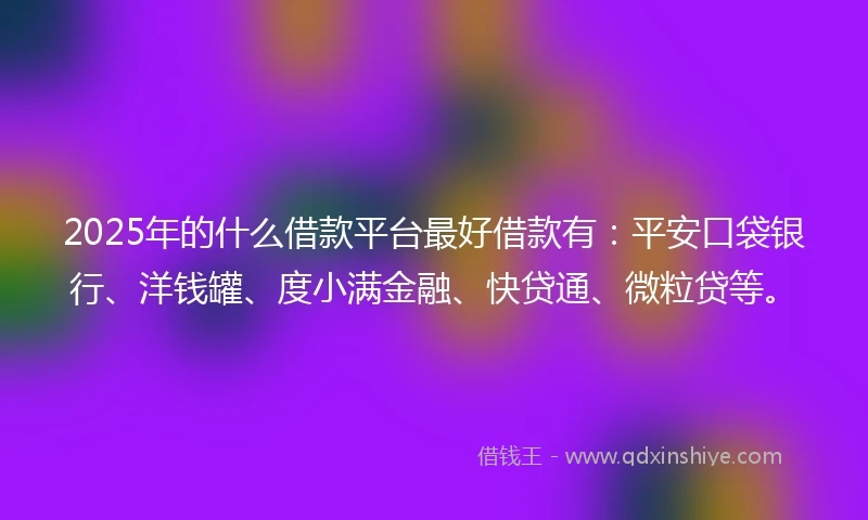 2025年的什么借款平台最好借款有：平安口袋银行、洋钱罐、度小满金融、快贷通、微粒贷等。
