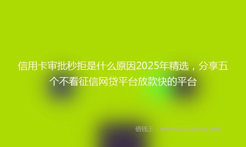 信用卡审批秒拒是什么原因2025年精选，分享五个不看征信网贷平台放款快的平台