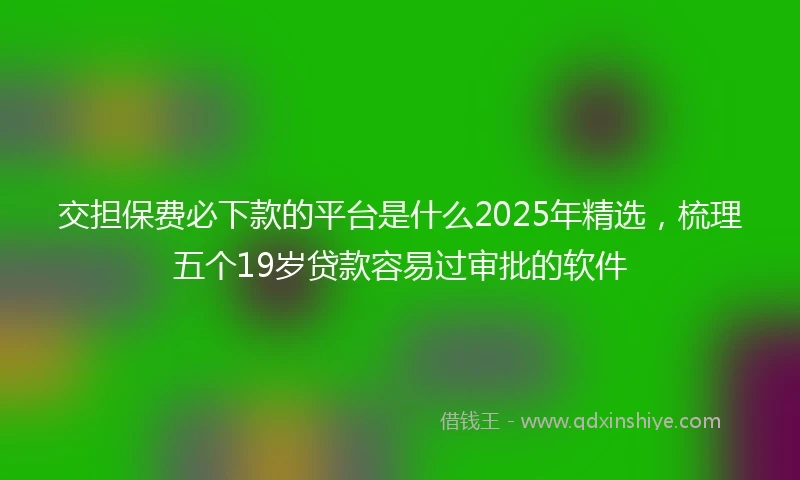 交担保费必下款的平台是什么2025年精选，梳理五个19岁贷款容易过审批的软件
