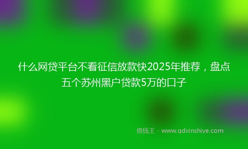 什么网贷平台不看征信放款快2025年推荐，盘点五个苏州黑户贷款5万的口子