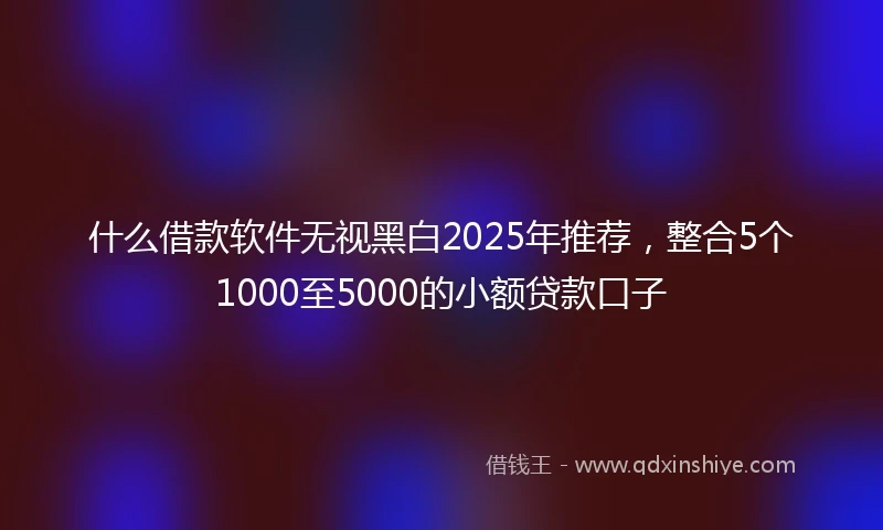 什么借款软件无视黑白2025年推荐,整合5个1000至5000的小额贷款口子