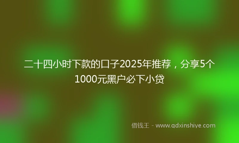 二十四小时下款的口子2025年推荐，分享5个1000元黑户必下小贷