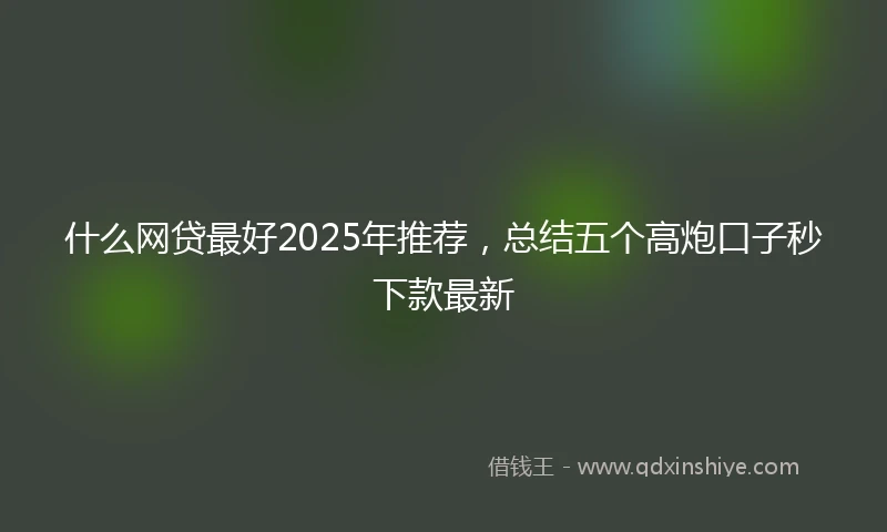 什么网贷最好2025年推荐，总结五个高炮口子秒下款最新