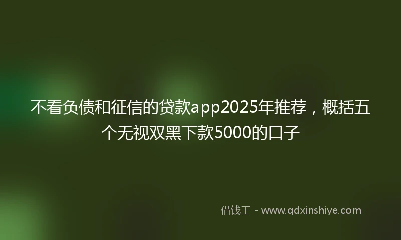 不看负债和征信的贷款app2025年推荐，概括五个无视双黑下款5000的口子