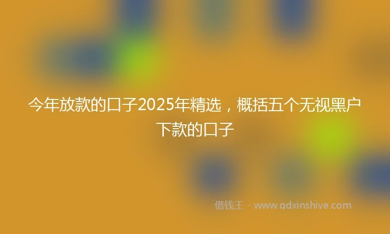今年放款的口子2025年精选，概括五个无视黑户下款的口子