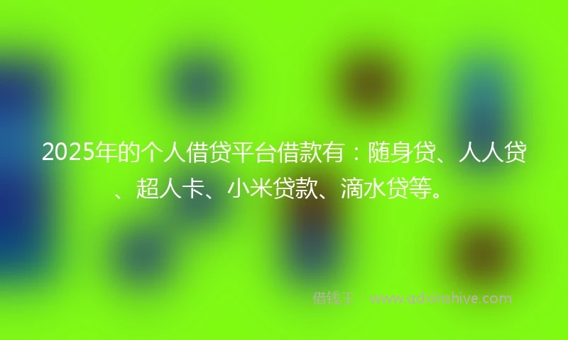 2025年的个人借贷平台借款有：随身贷、人人贷、超人卡、小米贷款、滴水贷等。