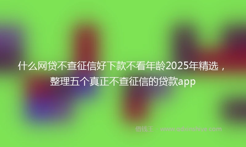 什么网贷不查征信好下款不看年龄2025年精选，整理五个真正不查征信的贷款app