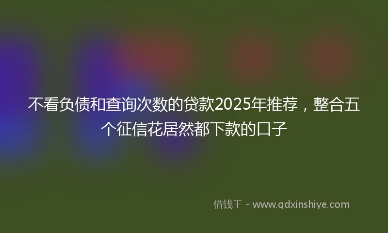不看负债和查询次数的贷款2025年推荐，整合五个征信花居然都下款的口子