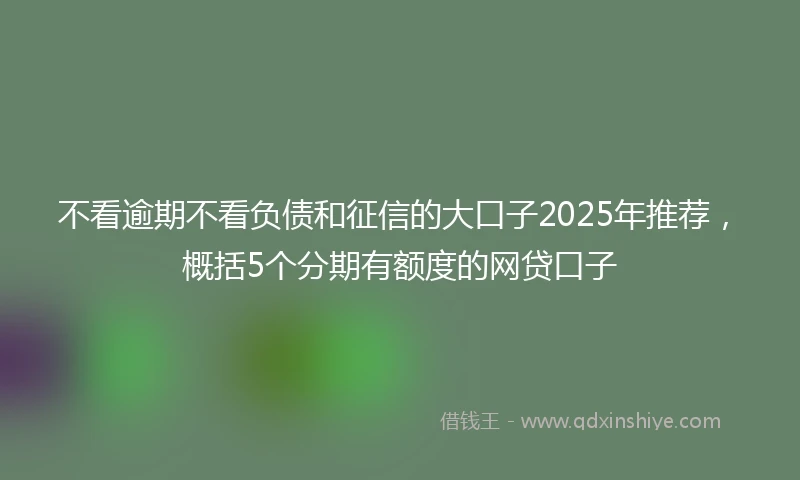 不看逾期不看负债和征信的大口子2025年推荐，概括5个分期有额度的网贷口子