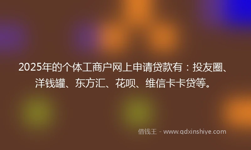 2025年的个体工商户网上申请贷款有：投友圈、洋钱罐、东方汇、花呗、维信卡卡贷等。