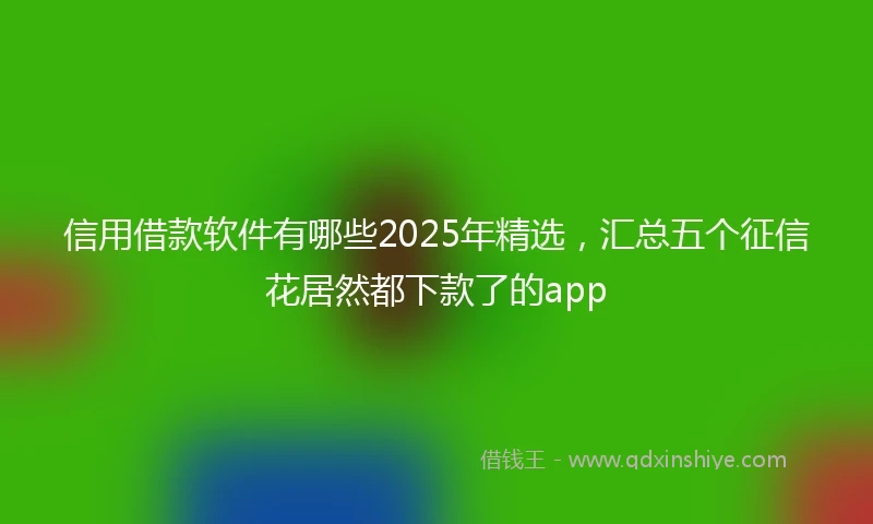 信用借款软件有哪些2025年精选，汇总五个征信花居然都下款了的app