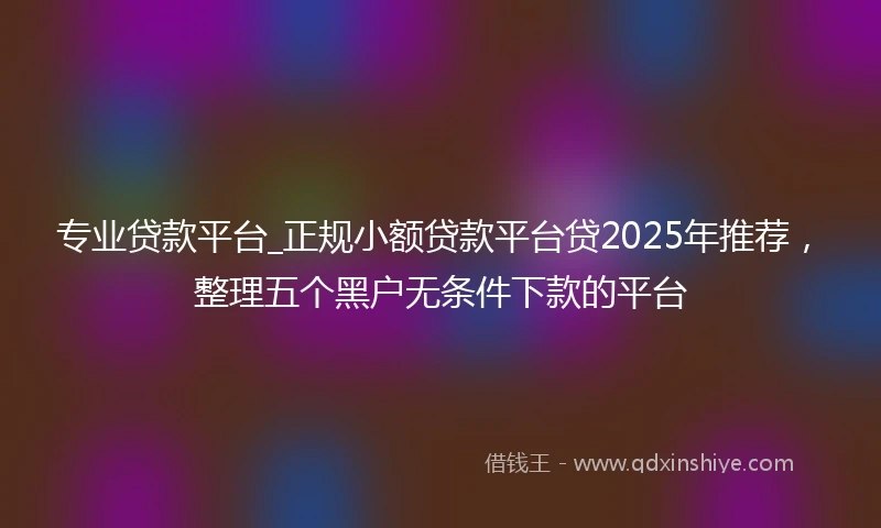 专业贷款平台_正规小额贷款平台贷2025年推荐，整理五个黑户无条件下款的平台