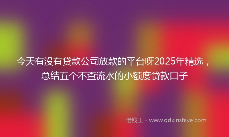 今天有没有贷款公司放款的平台呀2025年精选，总结五个不查流水的小额度贷款口子