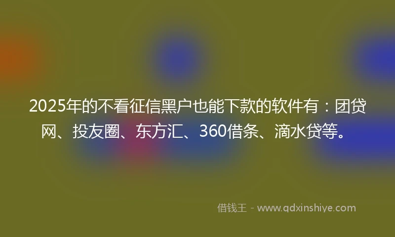 2025年的不看征信黑户也能下款的软件有：团贷网、投友圈、东方汇、360借条、滴水贷等。
