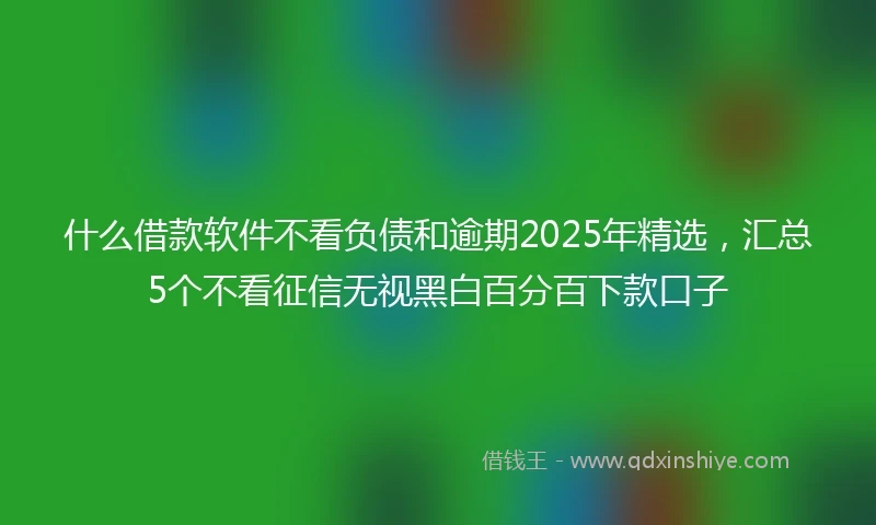什么借款软件不看负债和逾期2025年精选，汇总5个不看征信无视黑白百分百下款口子