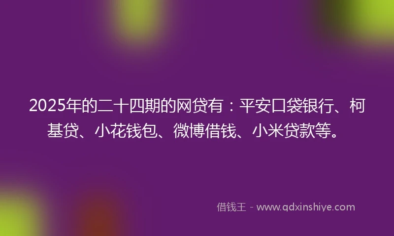 2025年的二十四期的网贷有：平安口袋银行、柯基贷、小花钱包、微博借钱、小米贷款等。