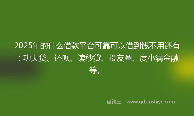 2025年的什么借款平台可靠可以借到钱不用还有：功夫贷、还呗、读秒贷、投友圈、度小满金融等。