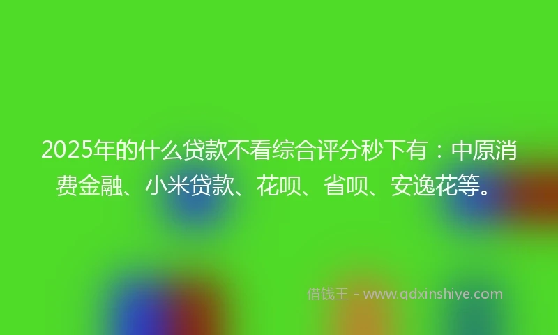 2025年的什么贷款不看综合评分秒下有：中原消费金融、小米贷款、花呗、省呗、安逸花等。
